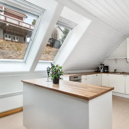 Lejlighed Flott Bofellesskap Med 7 Rom, Inkludert Internett Og Strøm! Grillområde Med Jacuzzi! Elverum